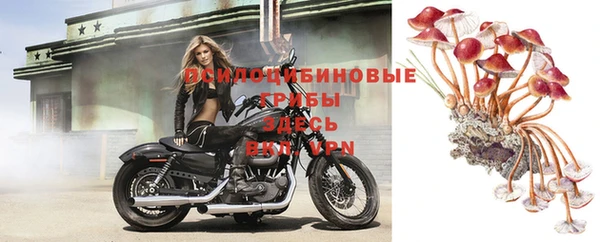 альфа пвп Володарск
