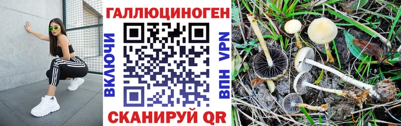 Купить где  Любань  Галлюциногенные грибы мухоморы 